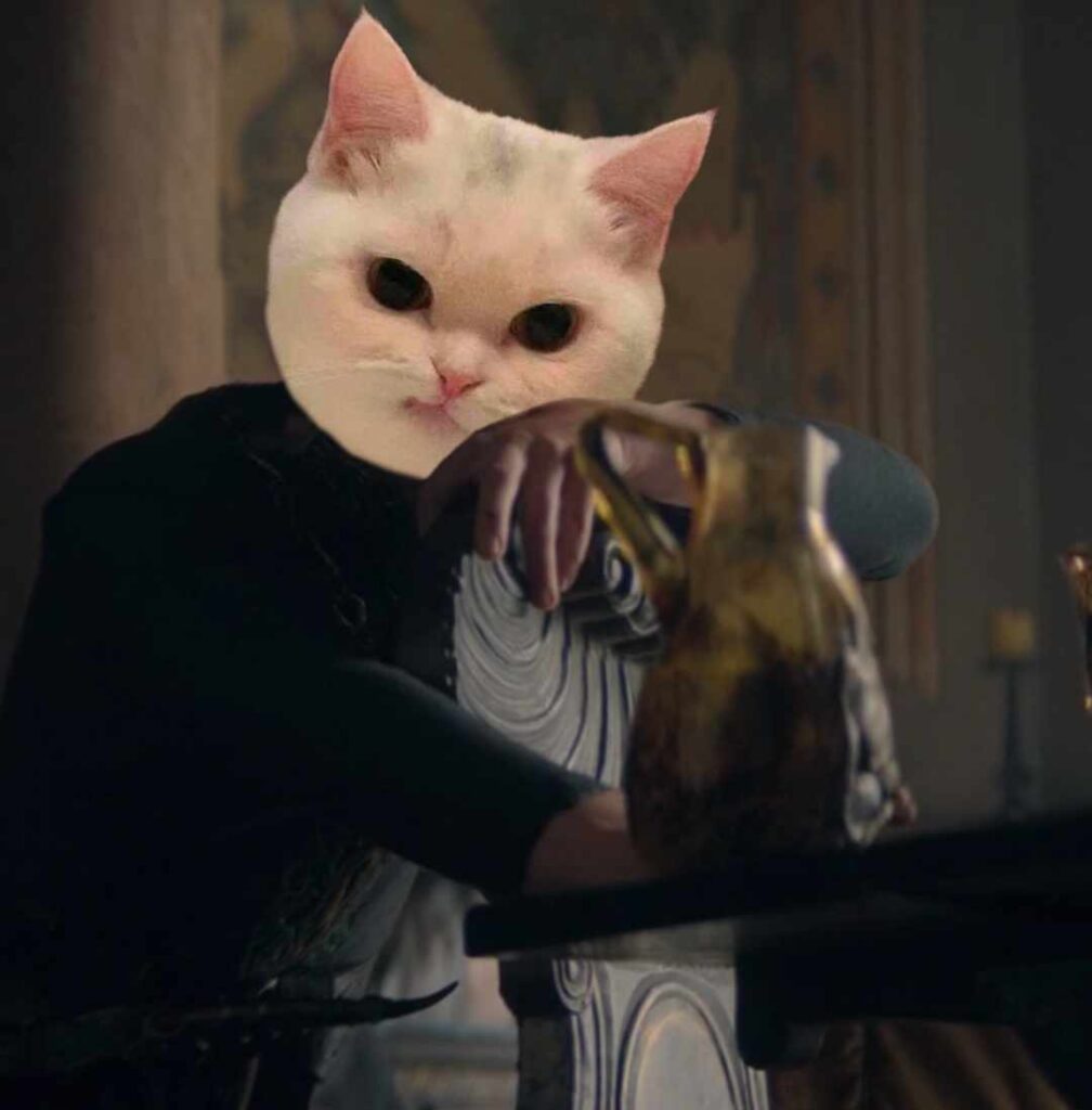hotd takes house of the dragon aegon targaryen babygon cat meme